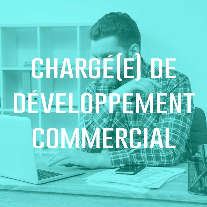 You are currently viewing Chargé(e) de développement commercial