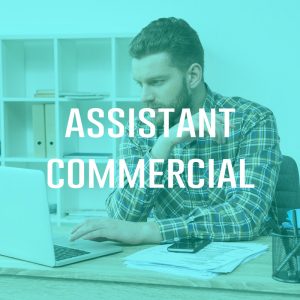 Assistant commercial (H/F)
