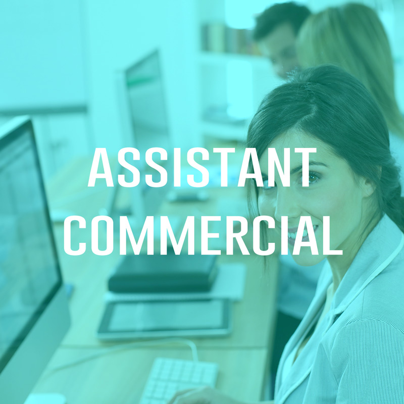 You are currently viewing Assistant commercial (H/F)