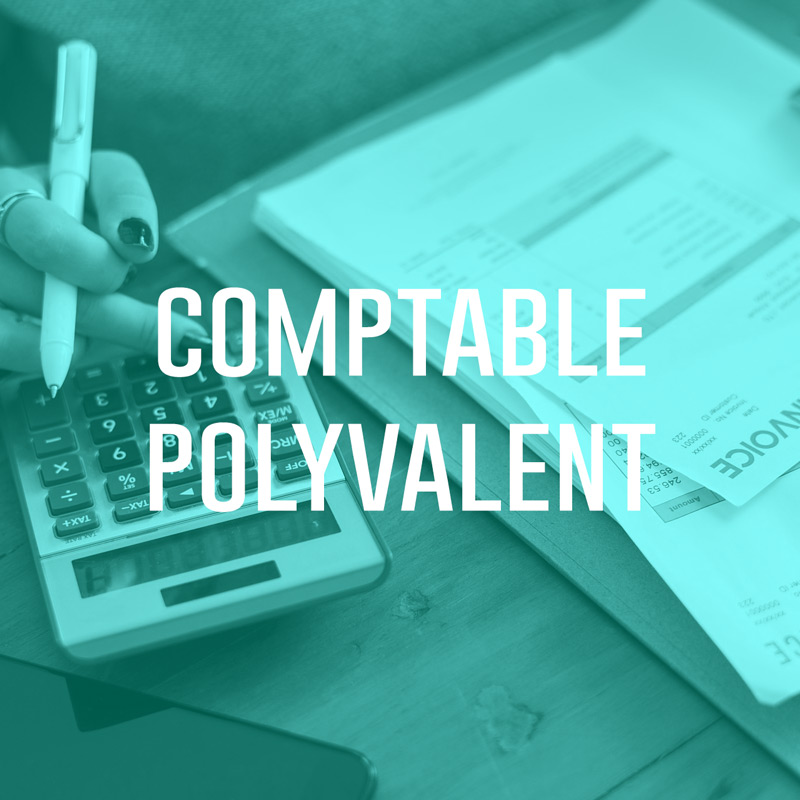 You are currently viewing Comptable Polyvalent (H/F)